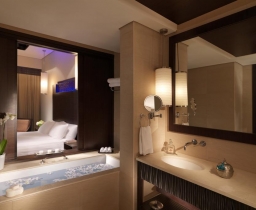 PREMIER LAGOON VIEW ROOM