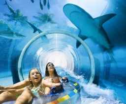 Aquaventure Waterpark