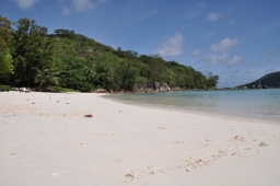 Tatana, Dariusz, Klaudia