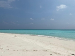 Tatiana, Matěj, Jakub, Matěj, Emilia