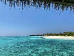 Tatiana, Matěj, Jakub, Matěj, Emilia